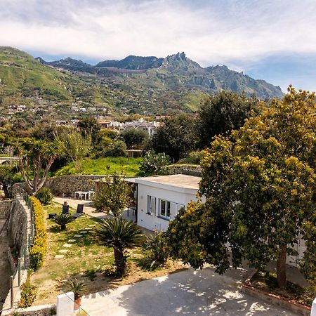 Casa Yucca Vila Forio di Ischia Exterior foto