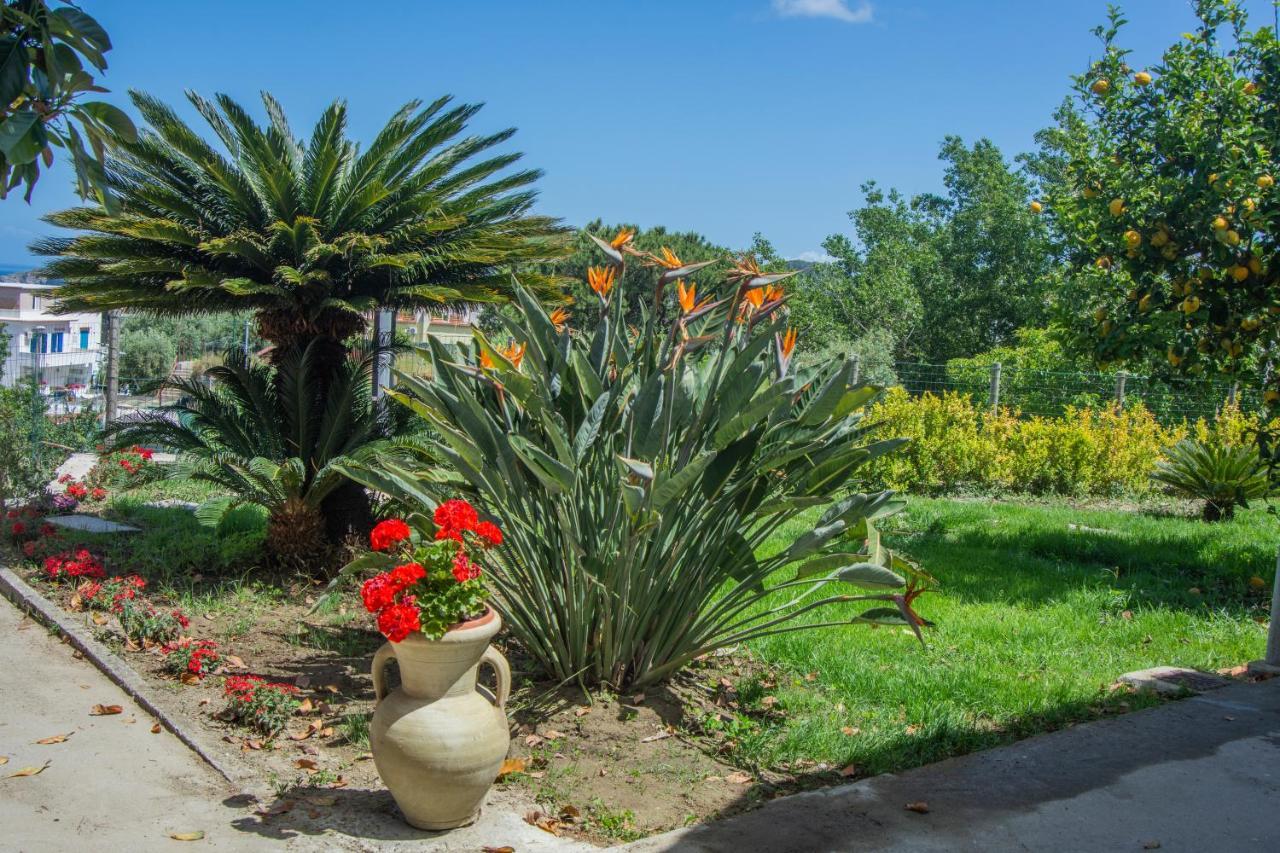 Casa Yucca Vila Forio di Ischia Exterior foto