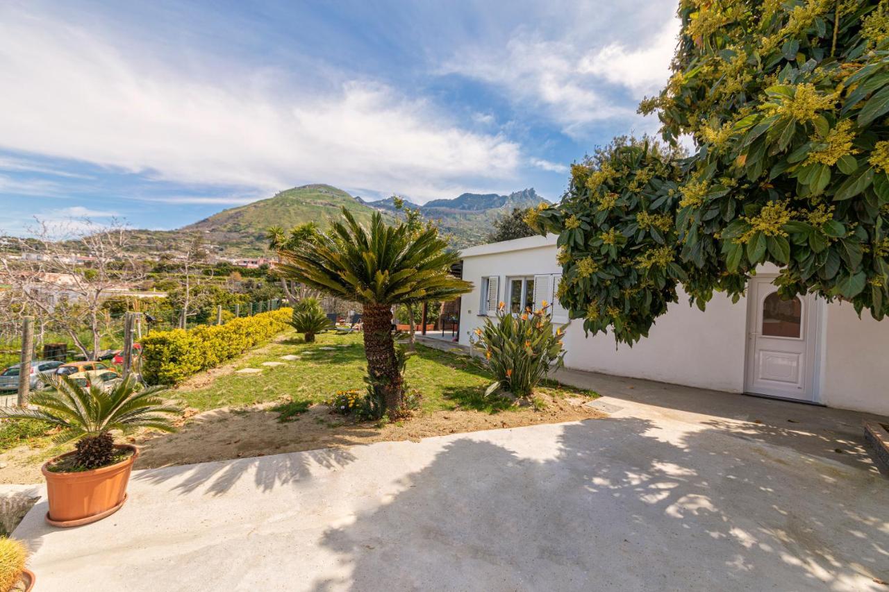 Casa Yucca Vila Forio di Ischia Exterior foto