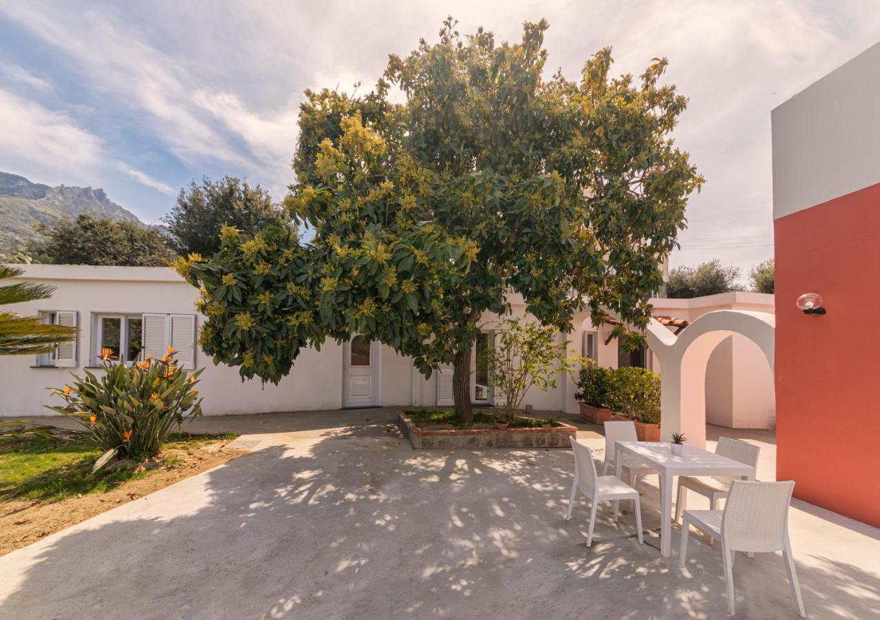 Casa Yucca Vila Forio di Ischia Exterior foto