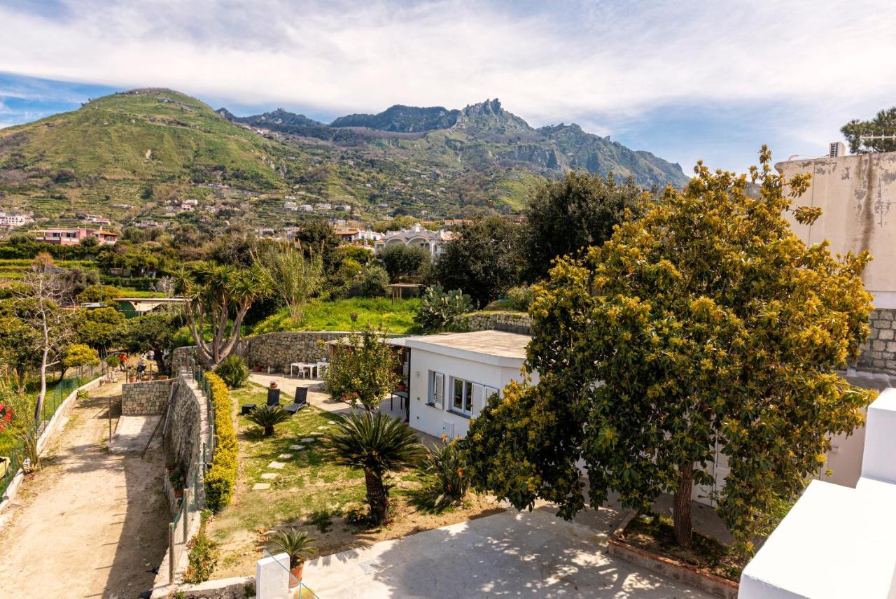 Casa Yucca Vila Forio di Ischia Exterior foto
